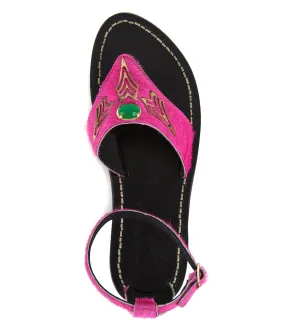 ANTHIA FUCHSIA