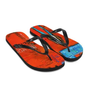 Art Flip Flops