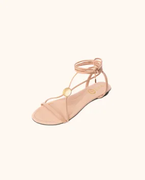 Classic Dear Charlotte Pink
