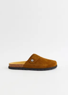 Danny Mules